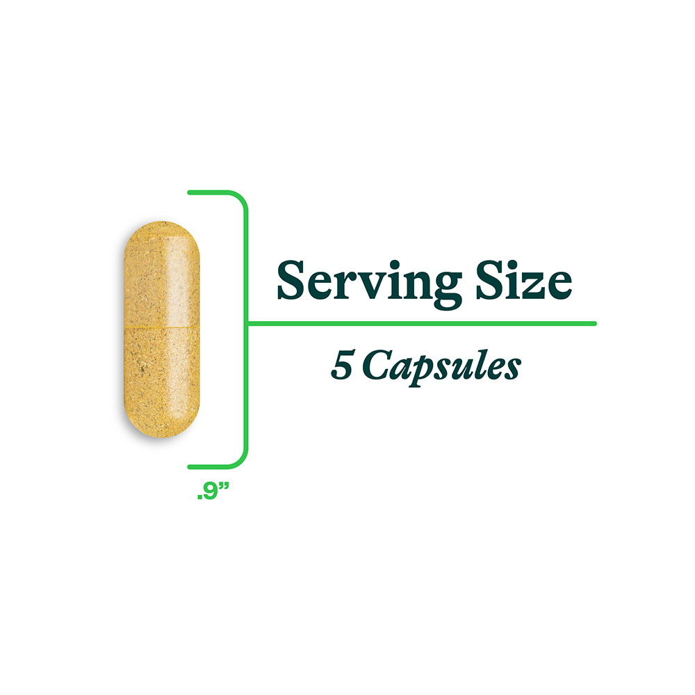 Gut Nutrients | 150 Capsules | Seeking Health