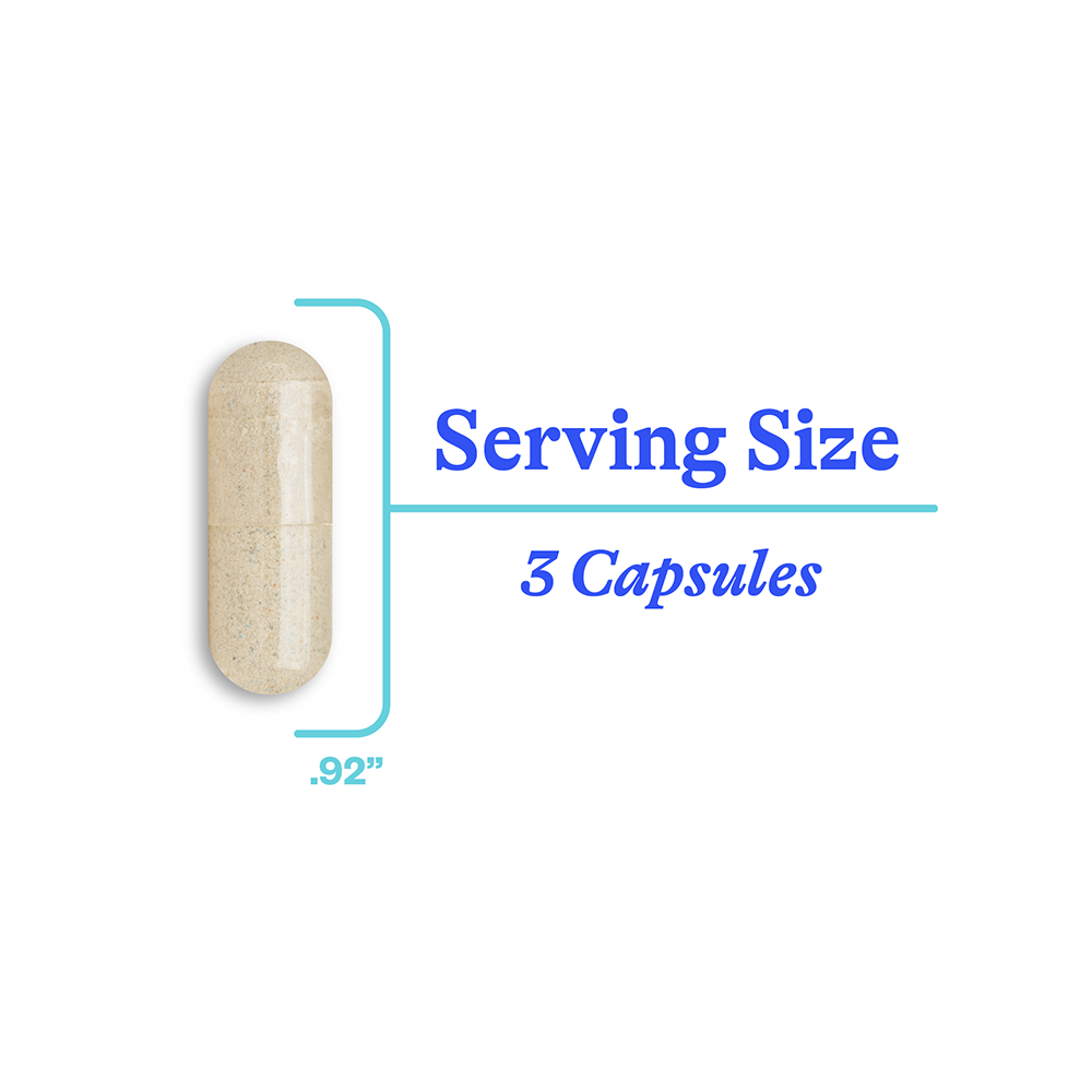 Optimal Focus 90 capsules | Seeking Health Ireland