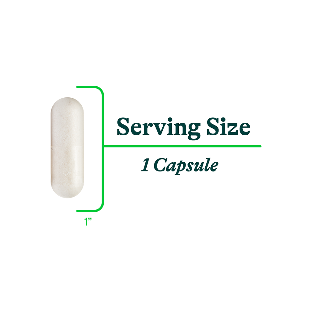 Histamine Digest | 90 Capsules | Seeking Health Ireland