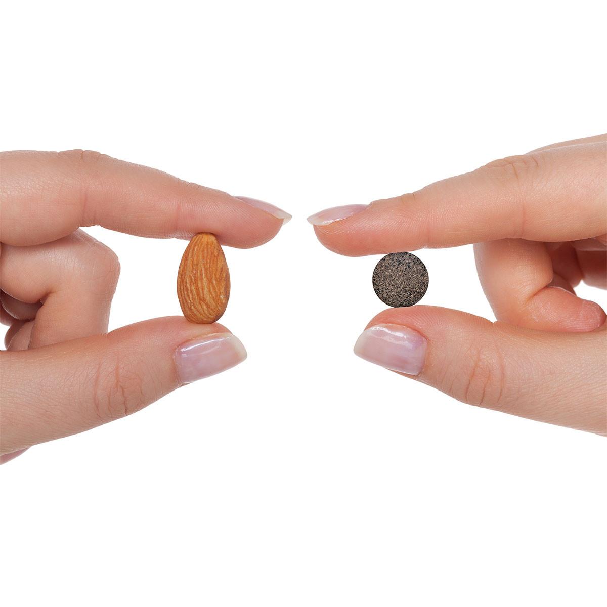 Iron Chewable - 60 Tablets | Seeking Health Ireland