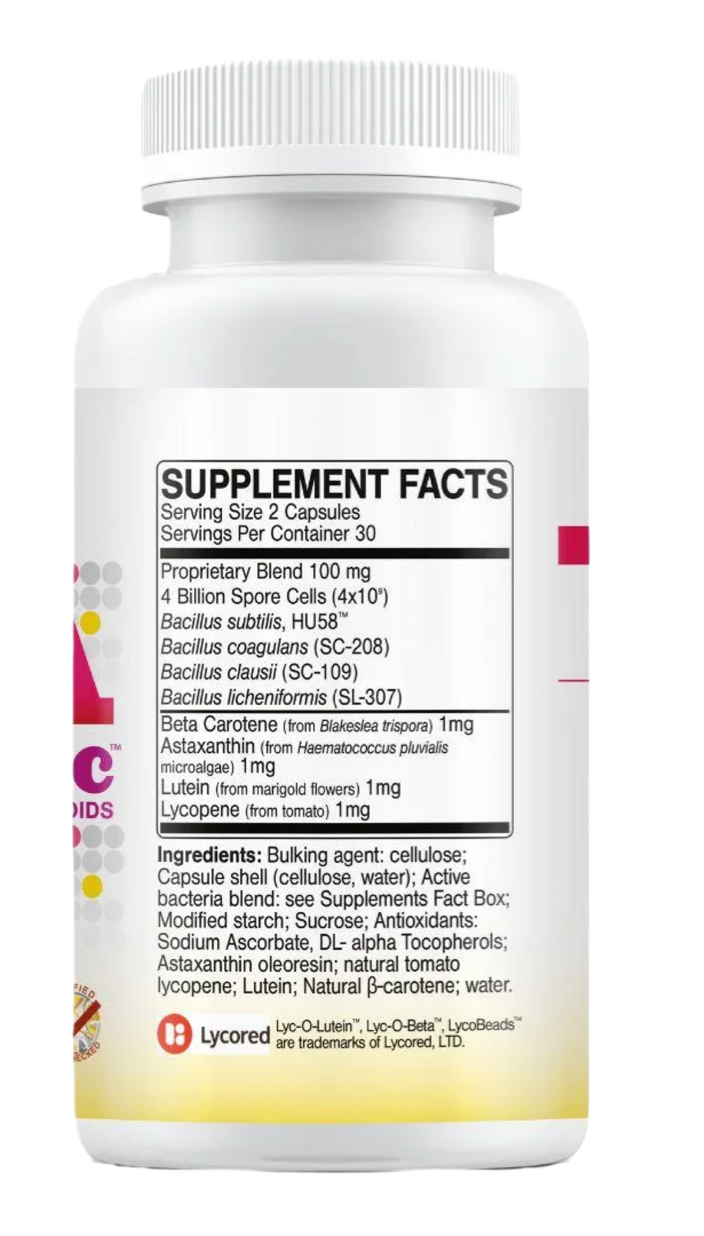 Buy MegaSporebiotic Plus Antioxidants | 60 Capsules Ireland online