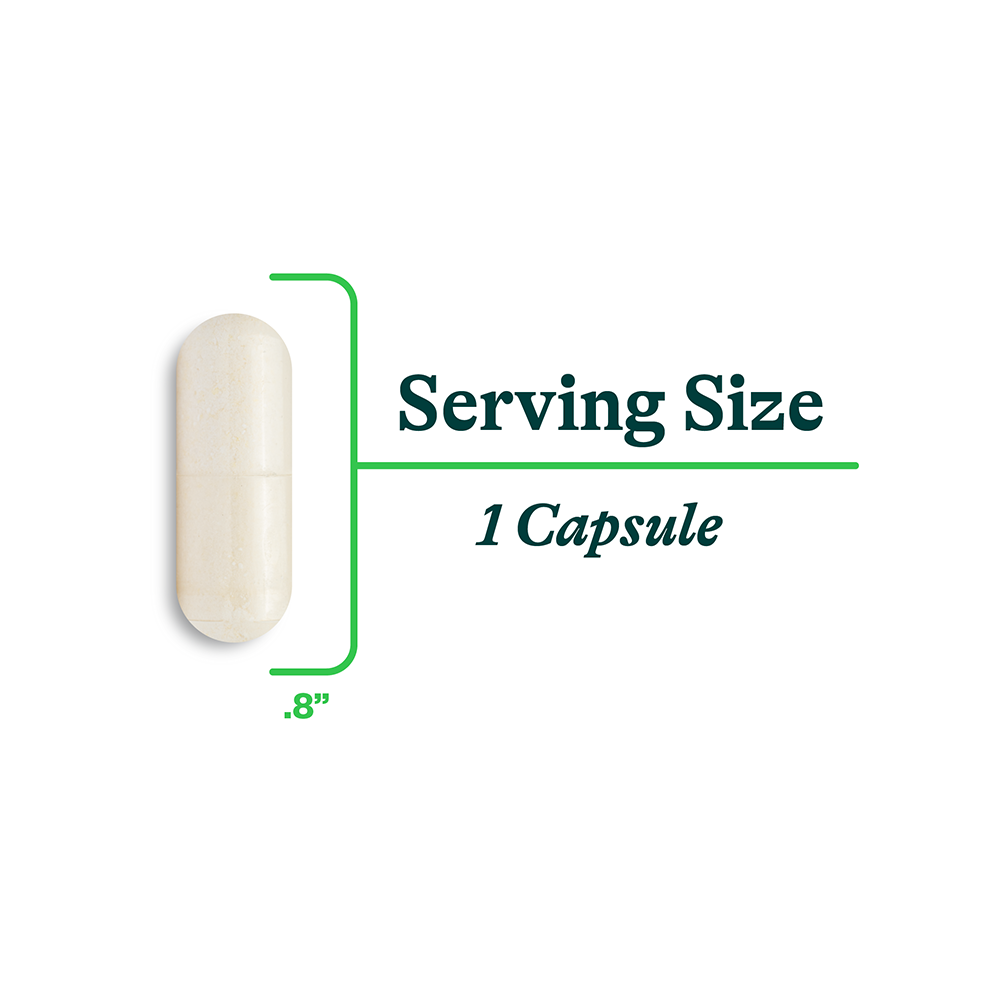 Buy ProBiota Bifidobacterium | 60 Capsules | Seeking Health Ireland