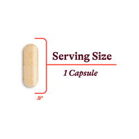 Buy B Complex MF | Methyl Free | 100 Capsules Seeking Health Ireland