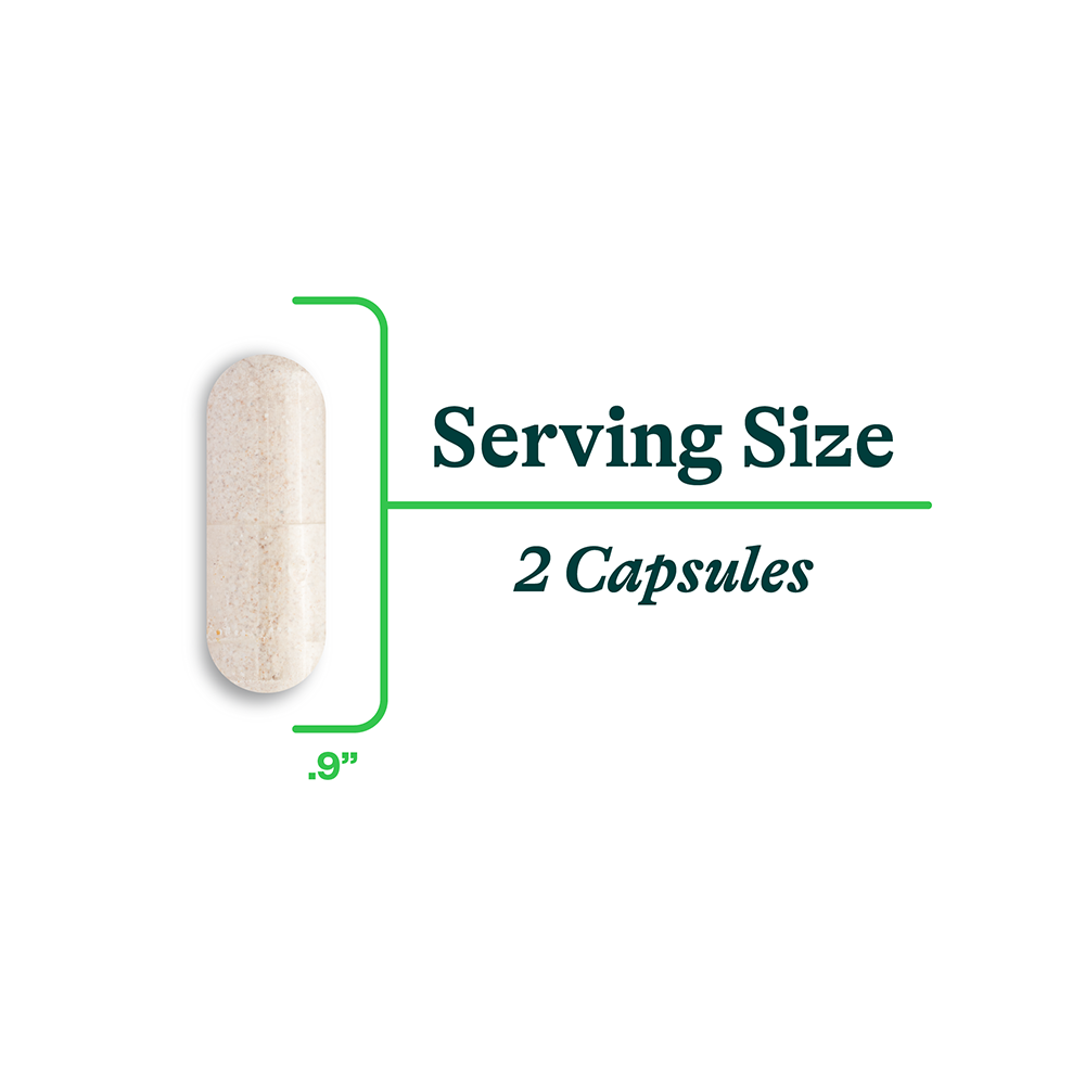 Digestive Enzymes 60 Capsules | Seeking Health Ireland 