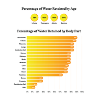 Buy Optimal Electrolyte | Lemonade | 167g | Seeking Health Ireland