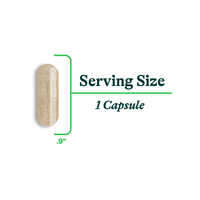 Bile Nutrients 120 Capsules - Seeking Health Ireland 
