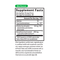 Buy Liposomal Glutathione (Original Mint) | 120ml | Seeking Health Ireland