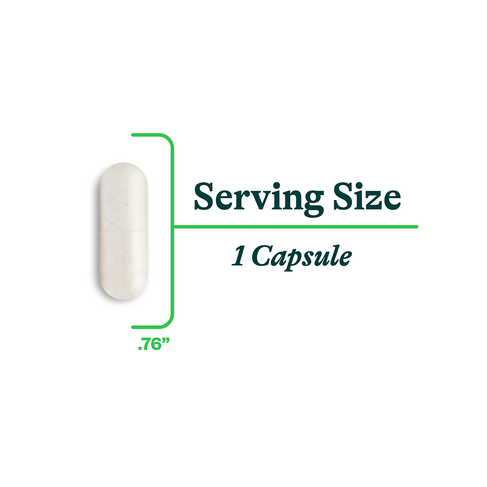 Histamine Digest 30 Capsules | Seeking Health Ireland 