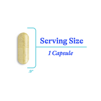 HistaminX 60 Capsules Seeking Health Ireland