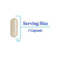 Optimal Focus 90 capsules | Seeking Health Ireland
