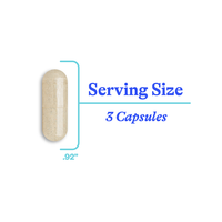 Optimal Focus 90 capsules | Seeking Health Ireland
