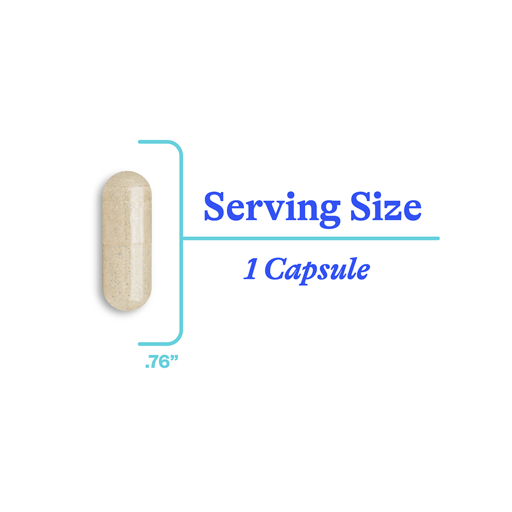Buy Phosphatidyl Serine | 150mg | Seeking Health Ireland