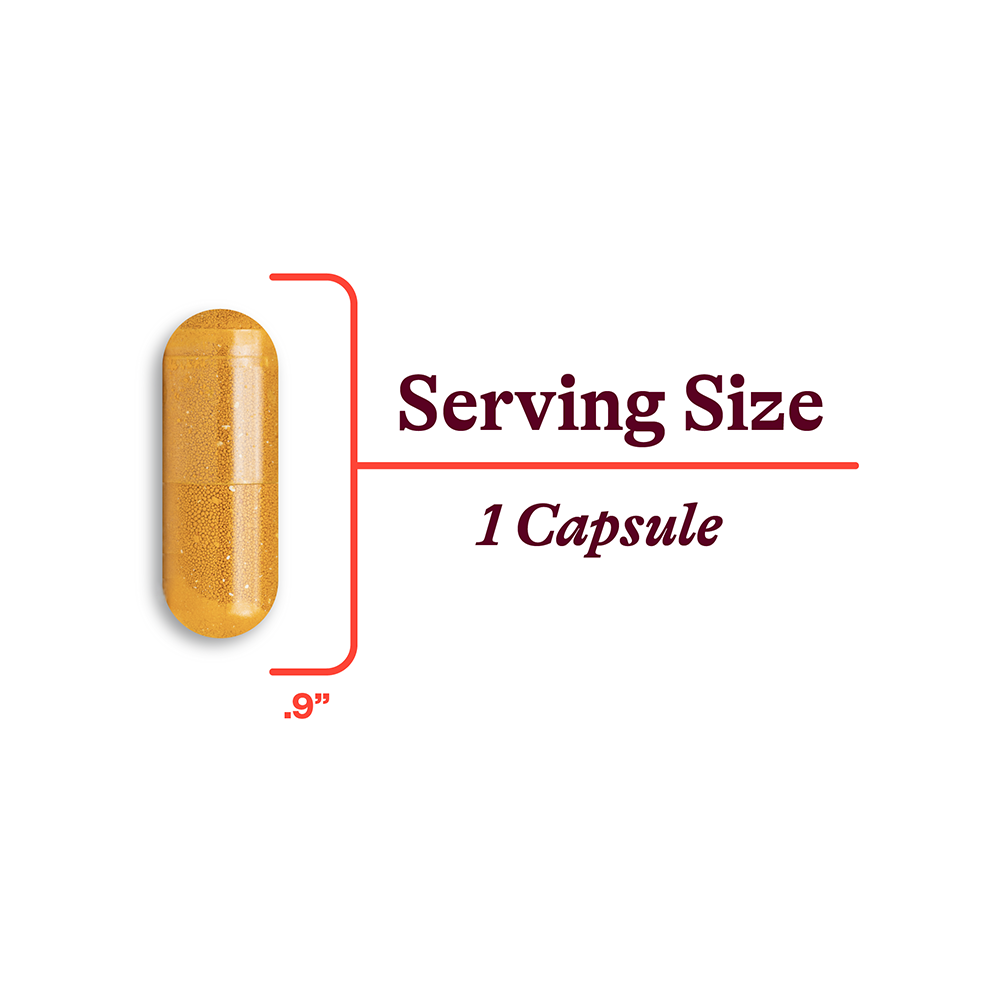 Buy Riboflavin | 60 Capsules | Seeking Health Ireland