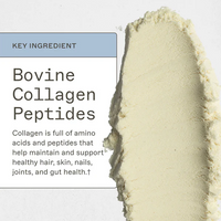 Amy Myers Paleo Protein | Unflavoured  Ireland online - AMMD