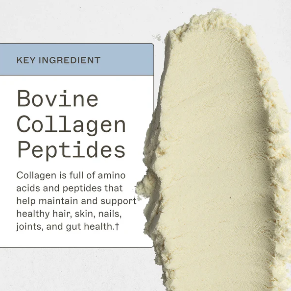 Amy Myers Paleo Protein | Strawberries & Cream | 20 Servings