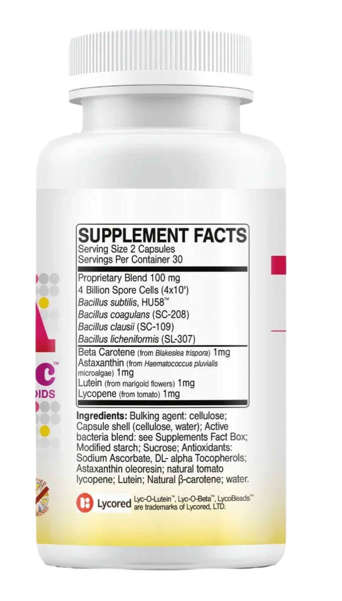 Buy MegaSporebiotic Plus Antioxidants | 60 Capsules UK online