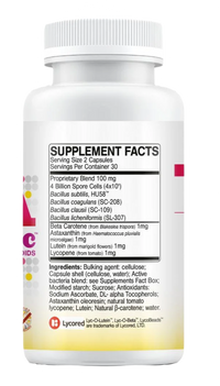 Buy MegaSporebiotic Plus Antioxidants | 60 Capsules UK online